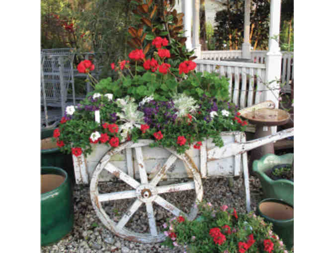 Southern Horticulture Garden Center - $100 Gift Certificate