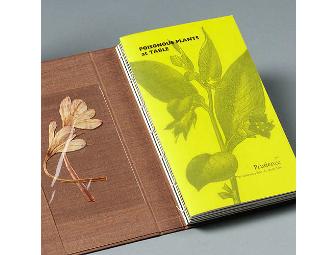 Dinner with 'The Time Travelers Wife' author, Audrey Niffenegger