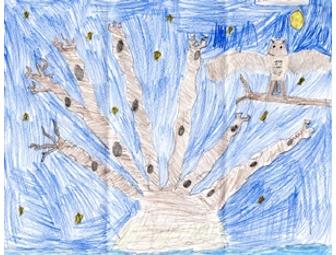 Lunch with Kathryn Lasky for your child... AND you!