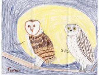 Lunch with Kathryn Lasky, for you AND your child!