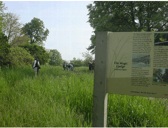 Morning of birding with a professional guide!