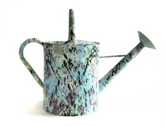 Watering Can #18