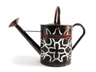 Watering Can #3