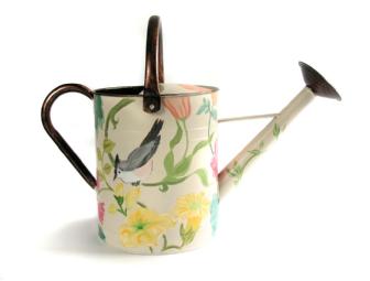 Watering Can #31