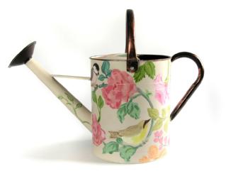Watering Can #31
