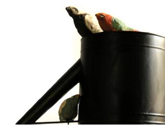 Watering Can #5