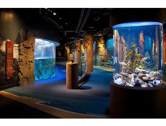 2 Passes to the Aquarium of the Pacific in Long Beach, CA