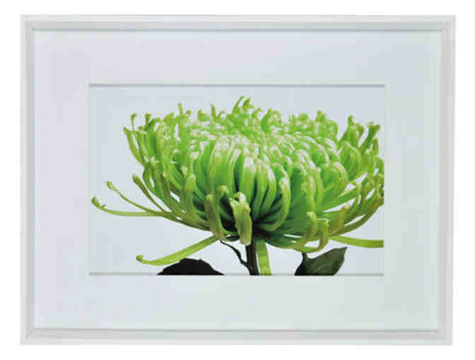 'Green Bloom I' Framed Print