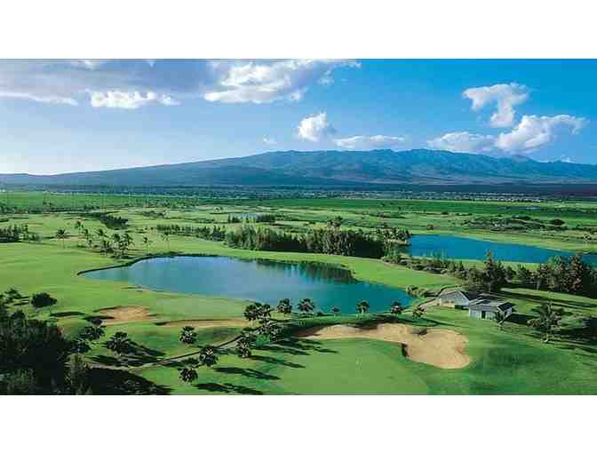 7 Night Ultimate Hawaii Golf Retreat in a Direct Ocean View 3 Bedroom House - Photo 3