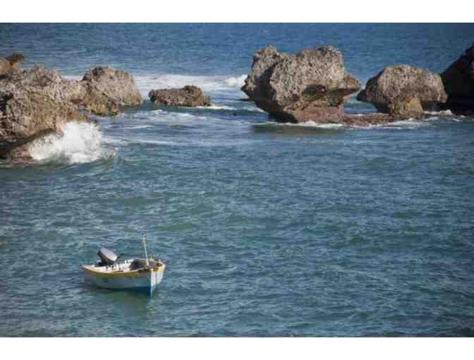 7-Night Stay at Eco Lifestyle Lodge in Barbados