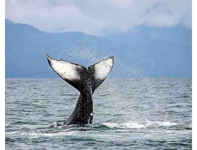 4-Night Stay at Carmel Valley Lodge with Round of Golf in CA - Photo 8