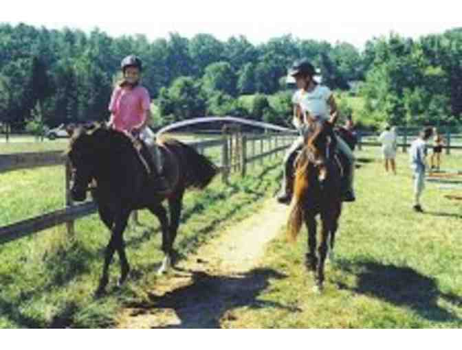 Horse Lover's Basket and Gift Certificate for a Child's Riding lesson