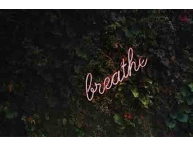 Bee Still! Find clarity and calm sharing the warmth of meditation with Kent Ford