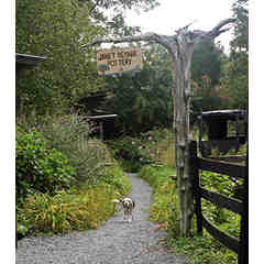 Janet Resnick Pottery