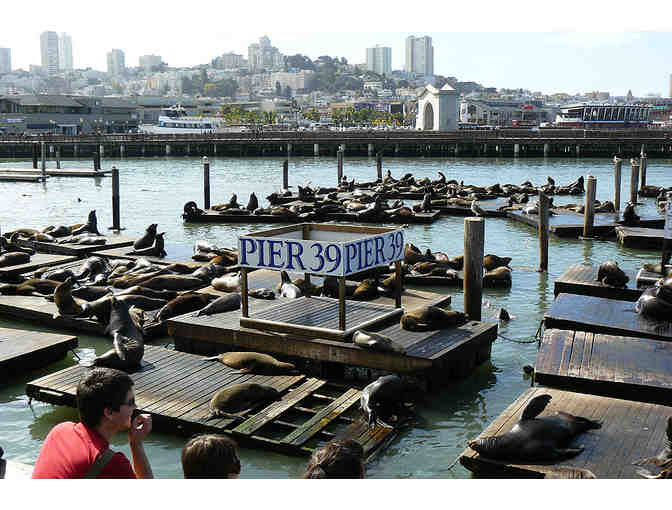 A Day on Pier 39 in San Francisco!