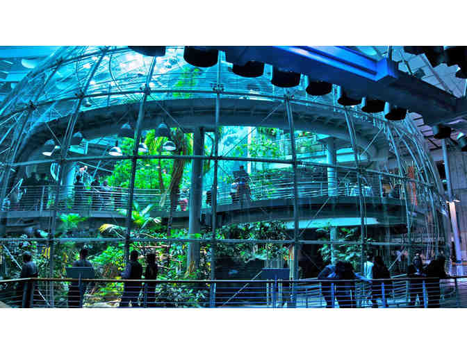 4 Admission Tickets to the California Academy of Sciences