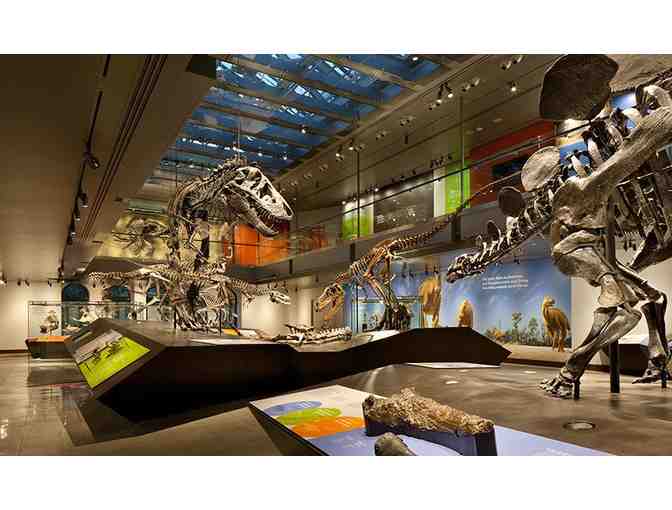 4 Guest Passes to The Natural History Museum of LA County or La Brea Tar Pits and Museum
