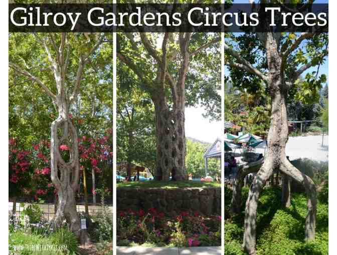 2 Admission Tickets to Gilroy Gardens