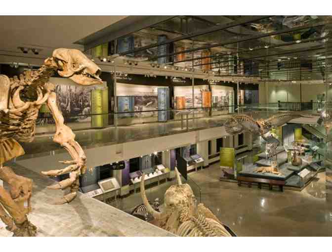 4 Guest Passes to The Natural History Museum of LA County or La Brea Tar Pits and Museum