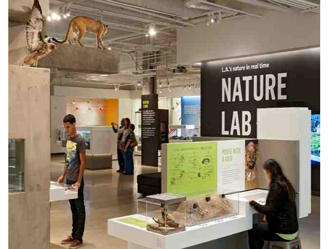 4 Guest Passes to The Natural History Museum of LA County or La Brea Tar Pits and Museum