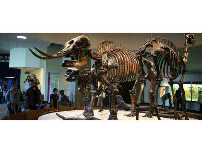 4 Guest Passes to The Natural History Museum of LA County or La Brea Tar Pits and Museum