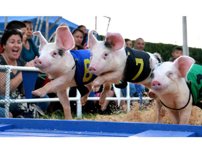 4 Tickets to the Alameda County Fair 2019