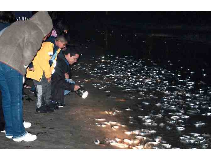 4 Tickets to 'Meet the Grunion' on Cabrillo Beach