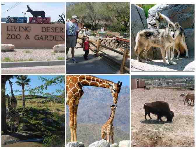 Family 4-Pack to the Living Desert Zoo & Gardens