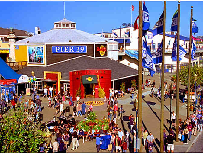 A Day on Pier 39 in San Francisco