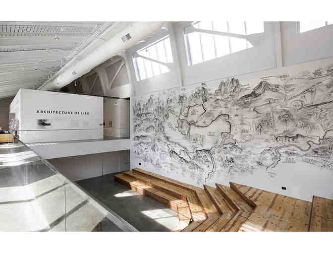 2 Gallery Passes and 2 Film Passes to BAMPFA