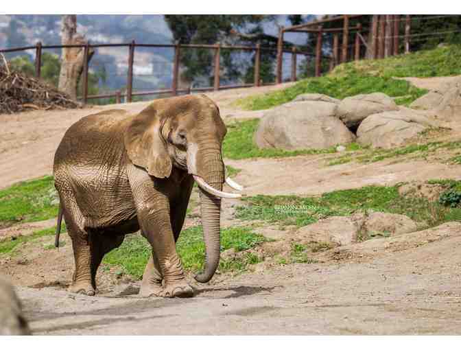 Family Day Pass to the Oakland Zoo and Free Parking
