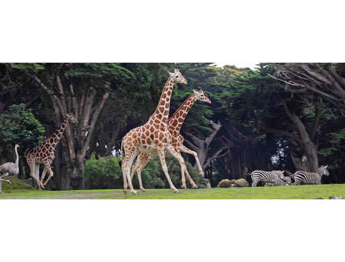 2 Tickets to San Francisco Zoo