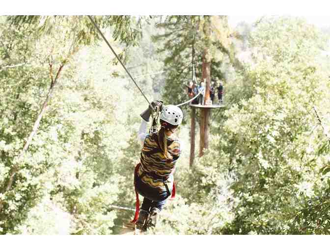 2 Zipline Canopy Tours in Sonoma