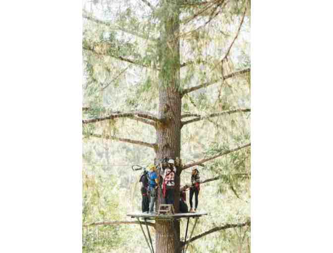 2 Zipline Canopy Tours in Sonoma