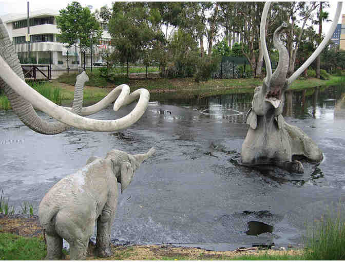 4 Guest Passes to The Natural History Museum of LA County or La Brea Tar Pits and Museum