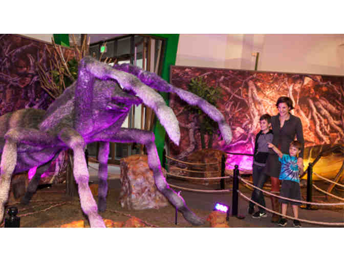 Family Pass to Lawrence Hall of Science