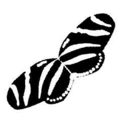 Texas Discovery Gardens