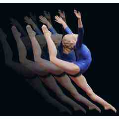 Iarov Elite Gymnastics