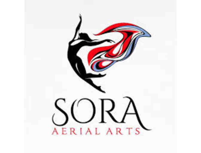 Sora Aerial Arts Intro to Aerial Skills or Pole Foundation (Youth or Adult)