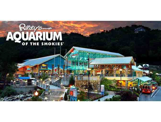 Dollywood and Gatlinburg Tickets