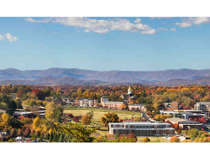 Weekend Gold Rush - Dahlonega, GA