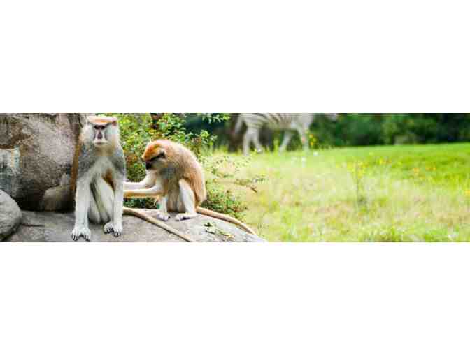 Family Fun Pack at Woodland Park Zoo in Seattle