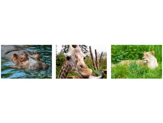 Family Fun Pack at Woodland Park Zoo in Seattle