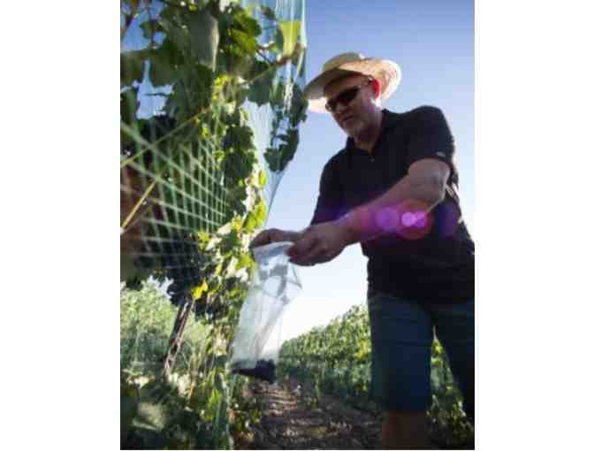 Private Tasting and Tour at Saviah Cellars