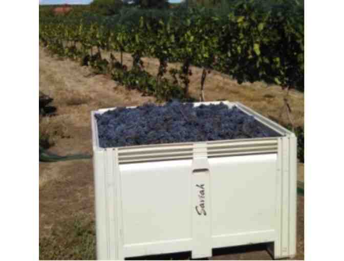 Private Tasting and Tour at Saviah Cellars