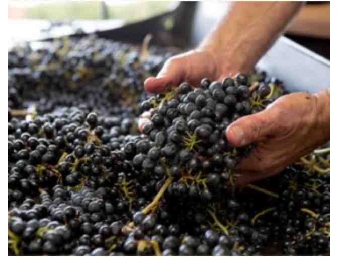 Private Tasting and Tour at Saviah Cellars