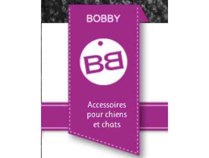 Crazy About Cats, Even in France