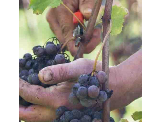 CHATEAU PIBRAN 2007 - Six Bottles of Bordeaux Rouge