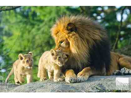 Family Fun Pack at Woodland Park Zoo in Seattle