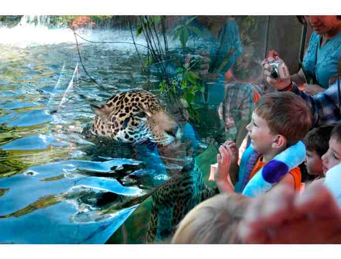 Family Fun Pack at Woodland Park Zoo in Seattle